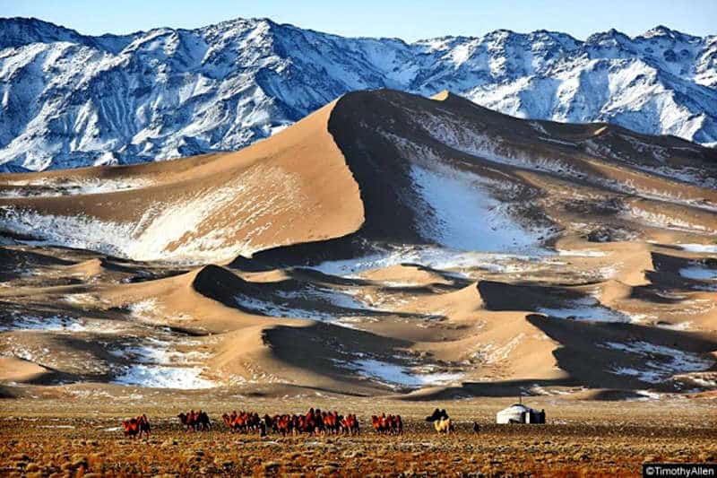 Los hallazgos de dinosaurios del Desierto del Gobi