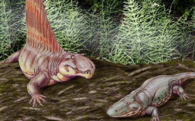 ¿Qué fue la Gran Mortandad?