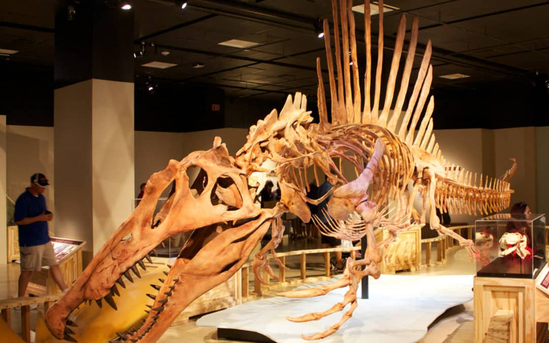 Spinosaurus: Realidad vs. Ficción