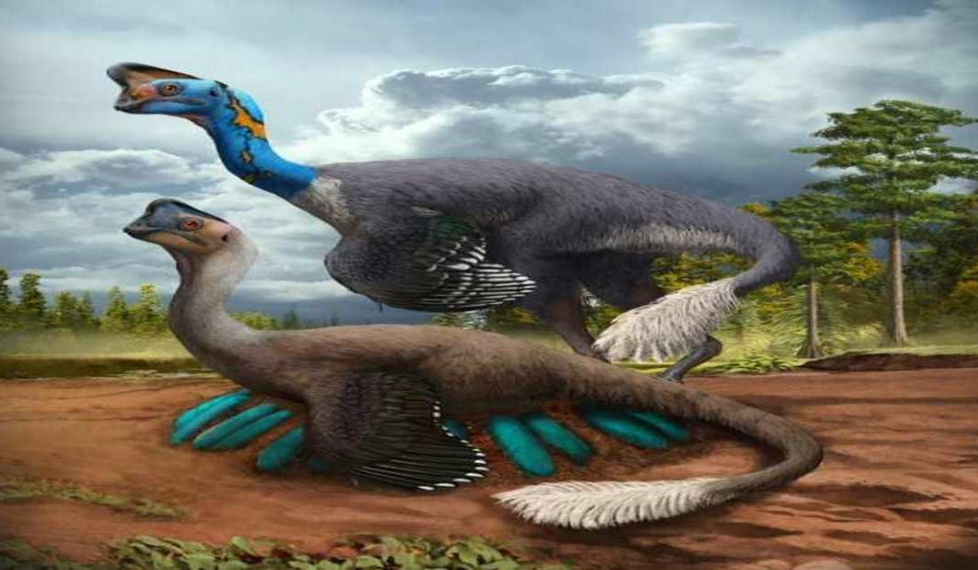 Oviraptor ¿ladrón de huevos o mala fama?