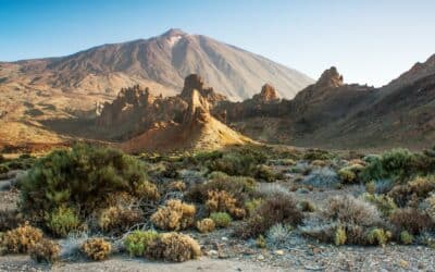 Paseo por el majestuoso Teide en Tenerife